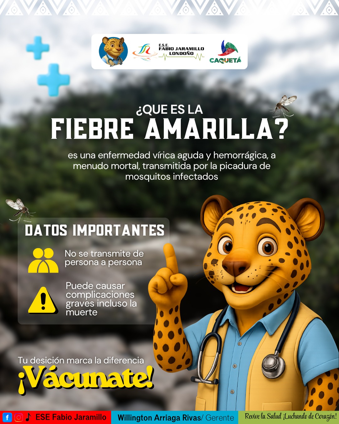 Que es la fiebre amarilla.